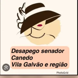 Desapegos senador Canedo e região