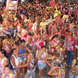 Lava pratos de João Lisboa 2025 oficial