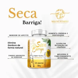 PROJETO SECA BARRIGA
