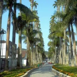 JOINVILLE 2024 VENDAS TROCAS DOAÇOES🙏🫡