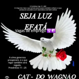 2️⃣🕊☯️CatDO MANO WAGNÃO SEJA LUZ 2️⃣✔️☯️WAGNÃO E FAMÍLIA  VAGAS