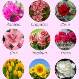 Fundo de Quintal floricultura 🌸🌺🌻