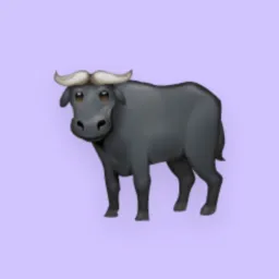 Venda guajuvira e campo largo