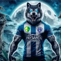 O MAIOR TIMÃO DO ESTADO DO PARÁ É PAYSANDU SPORT CLUB