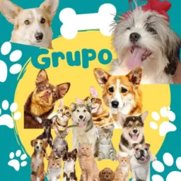 Venda e Doação De Animais