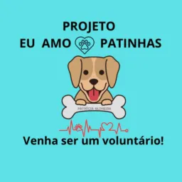 🐾Eu amo❤️patinhas!🐾