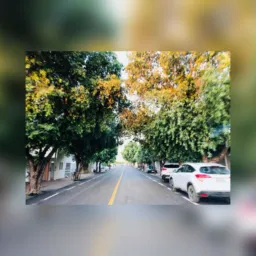 🆘SOS VILA DULCE DIVULGA🚨