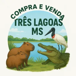 Compra e Venda TRÊS LAGOAS MS