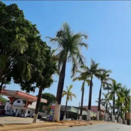 🌴TRABALHASADE 2🌴(JURANDIRSADE)