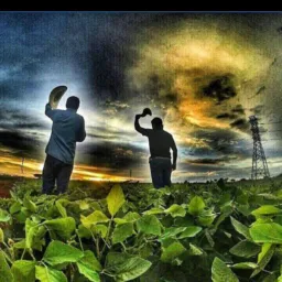 🇧🇷Agrobrazil🌾 ,grãos, implementos agrícola,fertilizantes,fazendas e minérios!! 🏞️🛤️🏕️