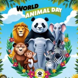MUNDO Dos animais 3 Brasil inteiro 🌎