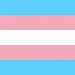 Grupo de Gbt grupos de mulheres trans