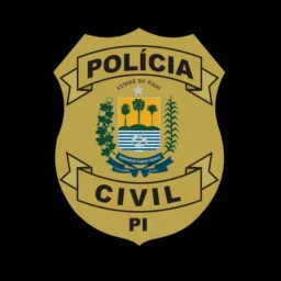 Delegado Civil - Editais pelo Brasil - DPC PI/RJ/RS editais iminentes