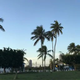 OLX FSA (VENDA, TROCA E SERVIÇO)