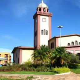 Compras e vendas luz ent