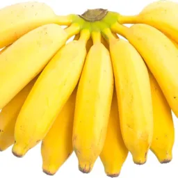 TUDO A PREÇO DE BANANA