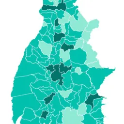 Divulga Palmas