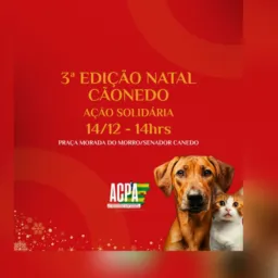 “3ª edição Natal Cãonedo “ DIA 14/12/25 às 14:00 praça morada do morro🐾🎄