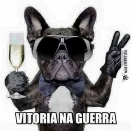 Vale tudo