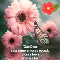 Grupo de vendas, desapego, anúncios etc sem mimimi