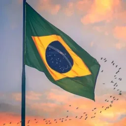 VENDAS BOA VISTA