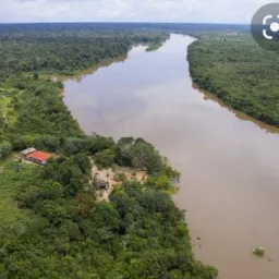 vendas guariba região🤝