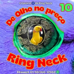 Preço de ring neck em 26 tabela fixa