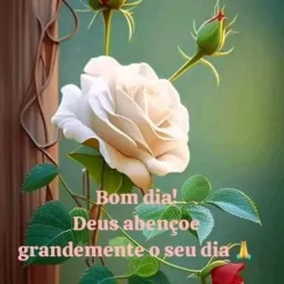 grupo de doasoes e ajuds