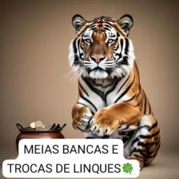 MEIAS BANCAS E TROCAS DE LINKS🍀🤑