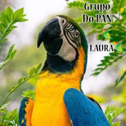 Grupo do Pan