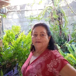 《PRODUTOS NATURAL 》COMPRAR VENDER E DIVULGAR OUTROS ASSUNTOS N POSTAR