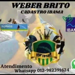 Cadastro Ibama
