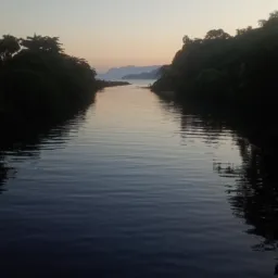 Joga pra rolo de pesca 🎣🎣