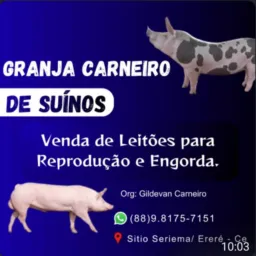 RIFA ENTRE AMIGOS / ORG : Gildevan Do Peixe