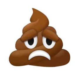 💩 GRUPO DE MERDA 💩