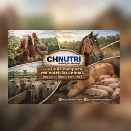 racoes CH nutri ( fornecimento de rações , sal e insumos .