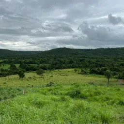 Grupo de venda online em todas áreas do Tocantins