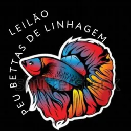 Leilão Peu Bettas