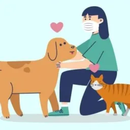 Somente animais e produtos para animais - venda ou doação animal - BR