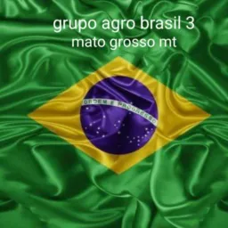 agro Brasil 3 mato grosso