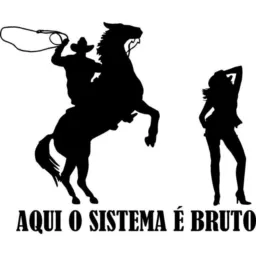 š¤ š¤ š¤ COWBOYS AQUI O SISTEMA Ć BRUTO š¤ š¤ š¤