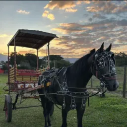 Brique de tudo ... torres e região .🐎🐂🐖🐔🐓🚗🛵🏠