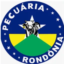Rondônia  Compra e Vendas