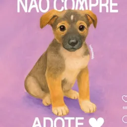 Grupo de doação de animais 🐶🐰🐓