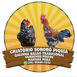 Sororó celular