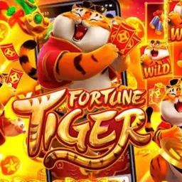 Grupo de vencedores dos slots