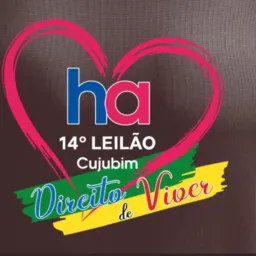Leilão HA Cujubim 2025