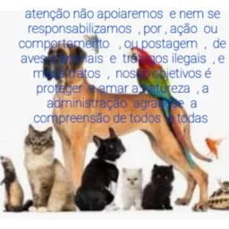 Somente animais e aves