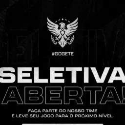 DIREÇÃO GETTE GAMING