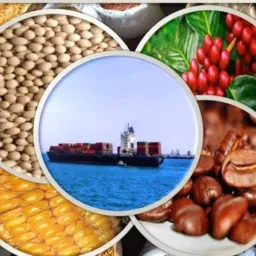 Commodities Agrícolas Brasil 2024 🚚🌾🌱🌽🏛️🇮🇱🚀